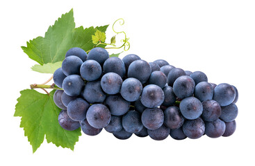 Purple grape on white  background, Kyoho Grape with leaves on white PNG file.