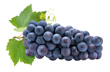 Purple grape on white  background, Kyoho Grape with leaves on white PNG file.