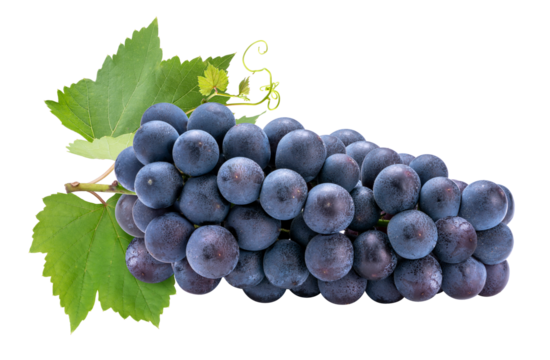 Purple grape on white  background, Kyoho Grape with leaves on white PNG file.