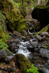 Fototapeta premium The Levada do Moinho to Levada Nova waterfall hike 