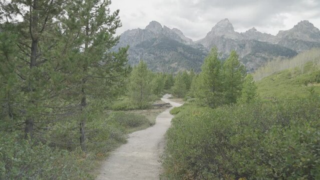 Hiking Taggart Lake Trail, Beautiful Trees and Grand Teton Peaks Towering in Background