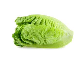 Fototapeta na wymiar fresh baby cos (lettuce) isolated on white background