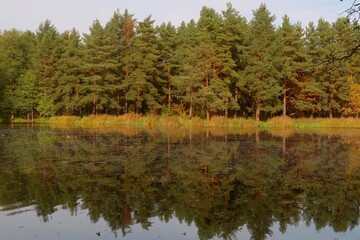 autumn trees reflected in water