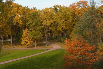 autumn in the park
