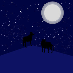 The shadow of the black wolf on the mountain looking up at the moon.