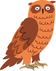 Forest animals, portrait of owl nocturnal bird