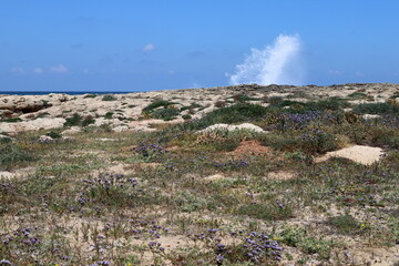 Coast of the Mediterranean Sea in the north of the State of Israel.