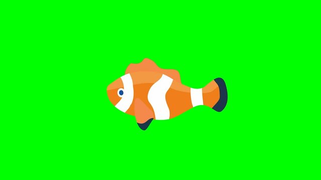 Clawn fish cartoon 2d animation in green screen