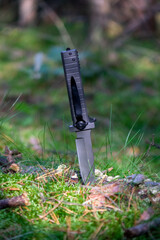 hunting military knife in forest