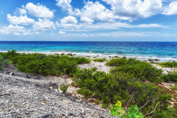 Fototapeta na wymiar Beach on the west side of Bonaire, Netherlands Antilles