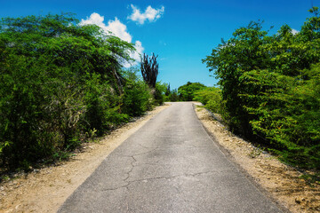 Fototapeta na wymiar road on the north side of Bonaire