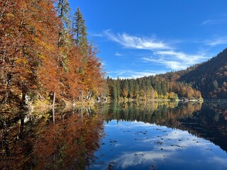 Obraz premium Laghi di Fusine - lakes in Italy