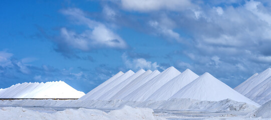 Extraction of salt on Bonaire, Dutch Antilles, Caribbean.