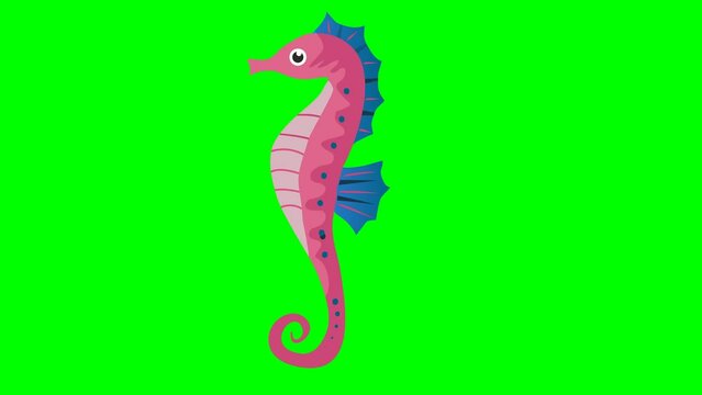 Cartoon Sea Horse 2D Animation on Green Screen | Cute Underwater Creature