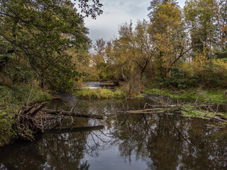 Fototapeta na wymiar A view of a small, wild river in central Poland.