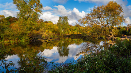 autumn landscape with lake