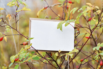 A mock-up card on the background of an autumn tree with a copy space. Copy space. Flat lay, top view