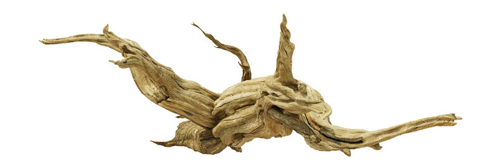 driftwood, beautiful old wood isolated 