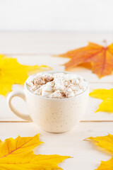Hot chocolate with marshmallows and cinnamon in a mug on a background of autumn maple leaves.