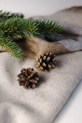 Obraz na płótnie Canvas A pair of pine cones on a warm scarf and a branch