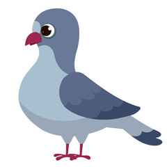 bird pigeon dove animal fauna cute cartoon style illustration