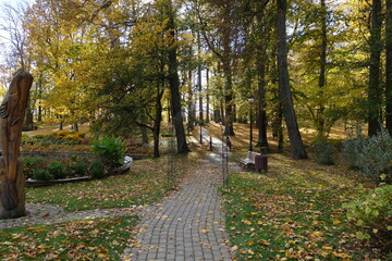path in the park