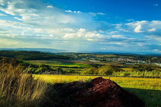 Landscape of fields, trees and a village in the distance in Weiler, Sinsheim, Germany