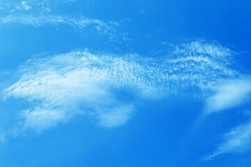  soft blue sky and light thin scatter white puffy clouds  abstract natural background.