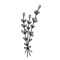 Fototapeta na wymiar Bunch of herbs isolated on white background. Vector hand-drawn illustration in doodle style. Perfect for decorations, logo, various designs