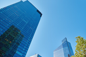 Fototapeta na wymiar Modern city architecture, Skyscraper glass facade with green tree, Business administrative building