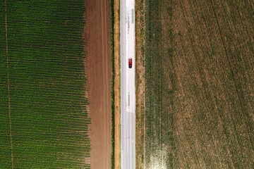 Top down aerial shot of single red car driving along the worn road through cultivated landscape