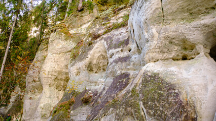 Fototapeta na wymiar The large sandstone cliffs of Sietiniezis on the banks of the Gauja River in Latvia. tourist nature trail for hiking with wooden stairs. Gauja National Park in the vicinity of Valmiera, Autumn,
