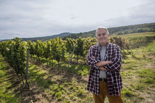 Confident senior farmer with arms crossed in vineyard