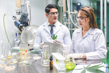 Fototapeta premium Cannabis ganja CBD oil scientific extraction machine, medicine factory technology for scientist worker in work of hemp plants process laboratory. chemical production equipment concept