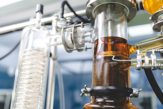 Cannabis ganja CBD oil scientific extraction machine, medicine factory technology for scientist worker in work of hemp plants process laboratory. chemical production equipment concept