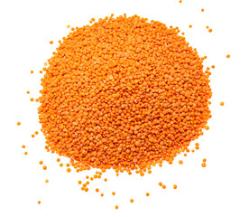 red lentils on white background