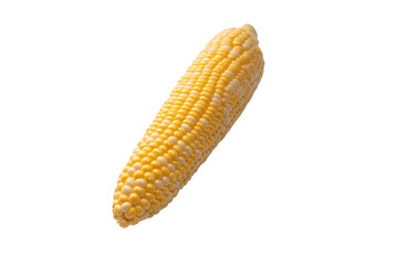 Yellow corn isolated on white background. Copyspace.