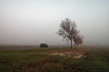 Auto jadące w złych warunkach jesiennych, mgła. - obrazy, fototapety, plakaty
