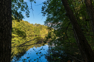 Ein kleiner Waldsee im Herbst