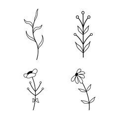 Fototapeta na wymiar Set of black silhouettes of grass, flowers and leaves isolated on a white background.