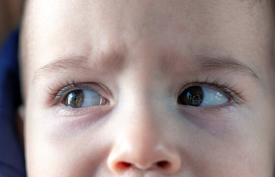 face details parts of baby boy child kid.angry nervous toddler crying out whims airs and graces.close up eye mouth first milk teeth lips.infant frownies forehead wide open mouth.cute beautiful baby