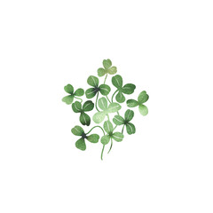 Watercolor clover leaves composition isolated on transparent background - 536927388