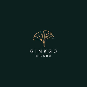 Ginkgo Logo Desing Icon Vector