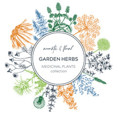 Vintage herb card or invitation. Aromatic plants botanical design. Herbal tea ingredients. Hand drawn medicinal herbs for cosmetics, perfumery, herbal medicine. Floral wreath