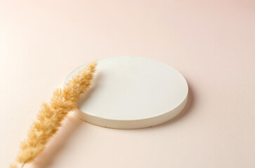 Large beige podium on a pastel background, flat lay. Round plaster podium for advertising cosmetic products on a gentle light background with a sprig of lush herbs