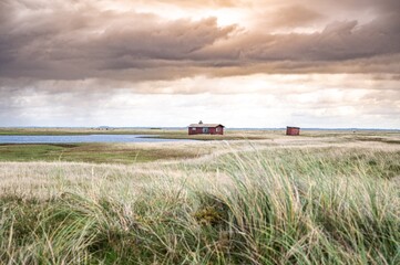 Typical red wooden huts in a Scandinavian fjord landscape against dramatic sky