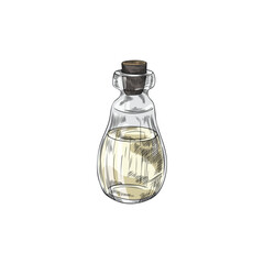 Aromatic cooking oil in bottle hand drawn engraving vector illustration isolated.