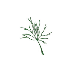 Fototapeta premium Hand drawn colorful dill plant sketch style, vector illustration