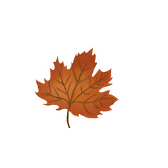 Autumn Leaf