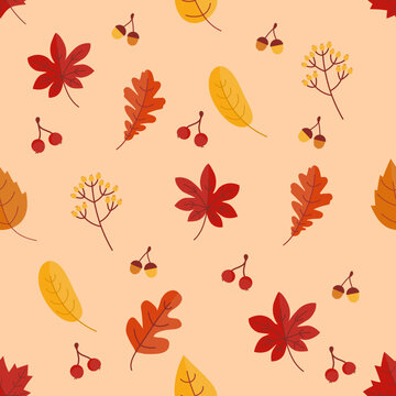 happy thanksgiving greeting background with pumpkins, butternut squash, maple leaves or leaf Vector illustration for Thanksgiving autumn, harvest festival. Template for poster, banner, cards